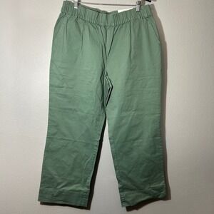ON 34th Chino Pants Straight Leg Ankle High-Rise Elastic Waist Green Plus 0X
